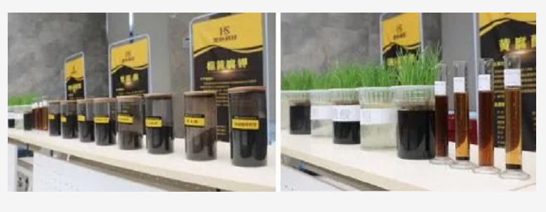 1558925872872426.png image.png