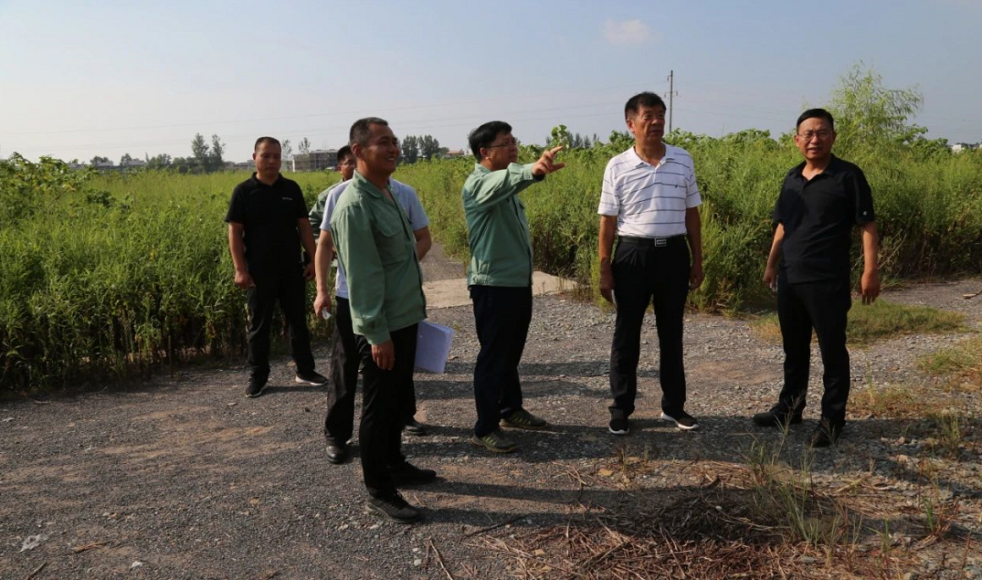 1597976576193829.png image.png