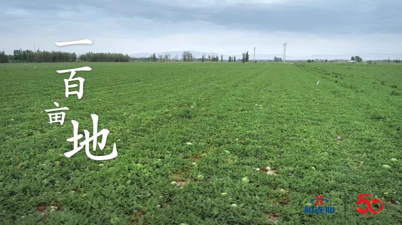 一百畝田